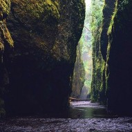 gallery18